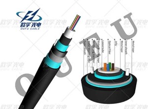 Gyxtw53 2-24 core djda стоманена лента бронирана външна тръба кабел за външно влакно